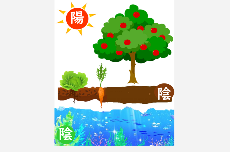 食べ物陰陽イラスト